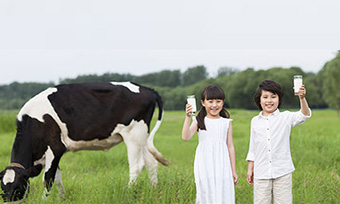 蒙牛：全球化布局下的产融结合